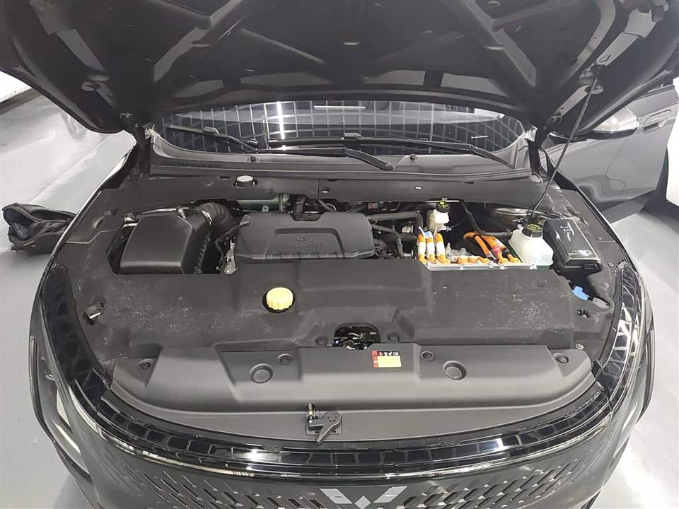 Wuling Wuling Starlight