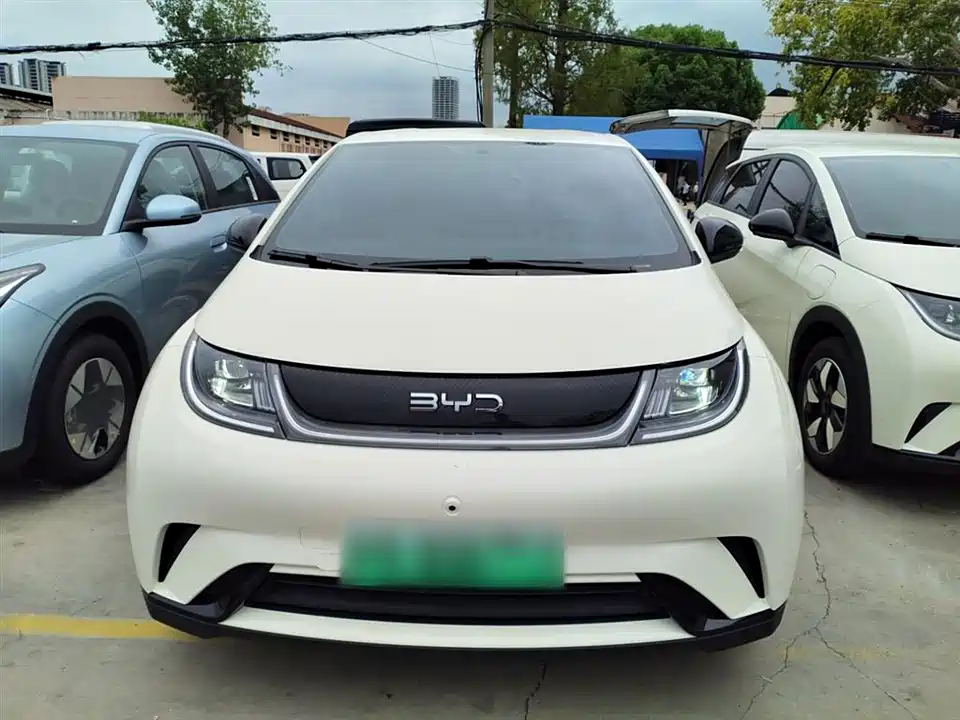 BYD dolphin