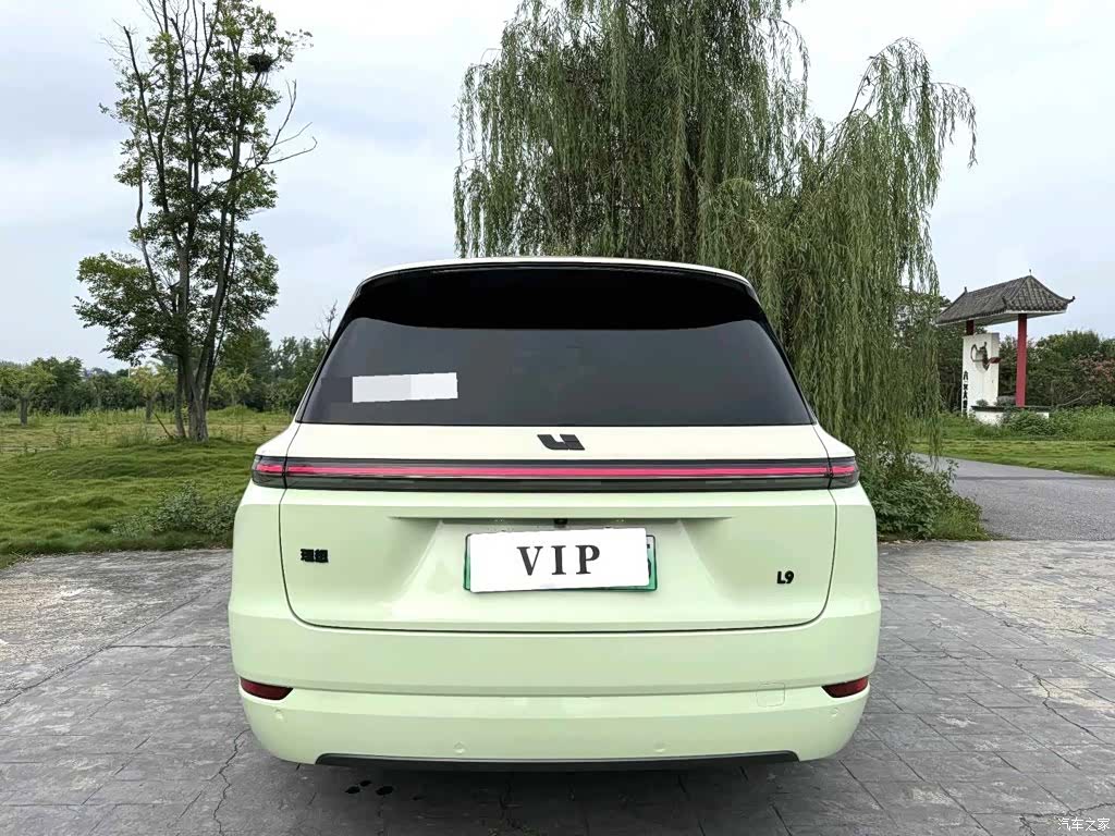 Li Auto L9, 2023 10