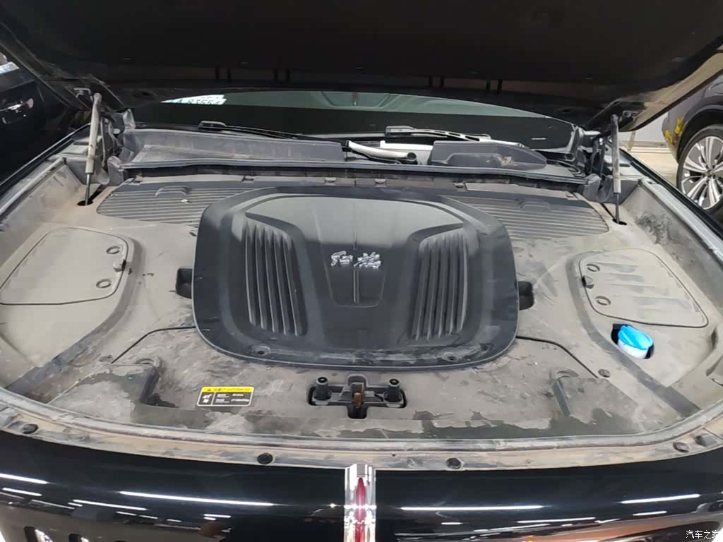 Hongqi E-HS9, 2023 20