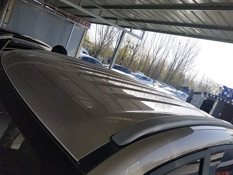 Leopaard Cheetah CS9