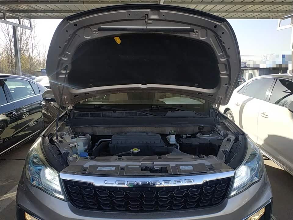 Leopaard Cheetah CS9