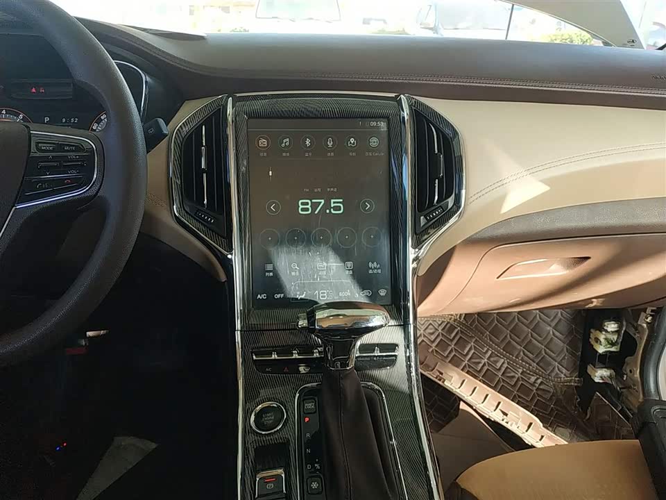 Leopaard Cheetah CS9