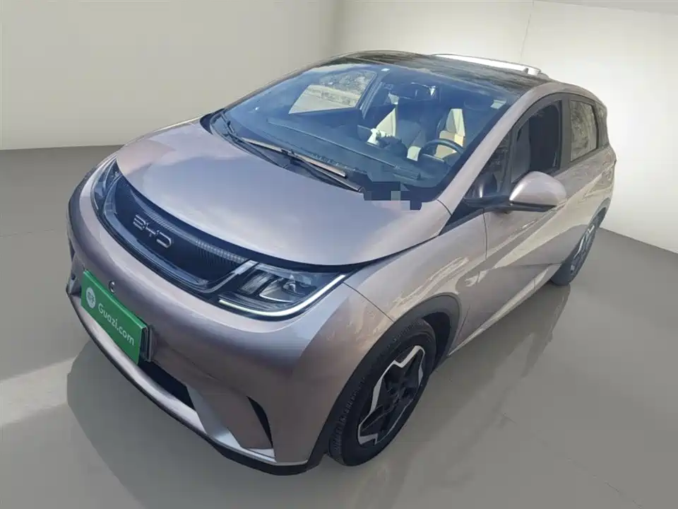 BYD dolphin