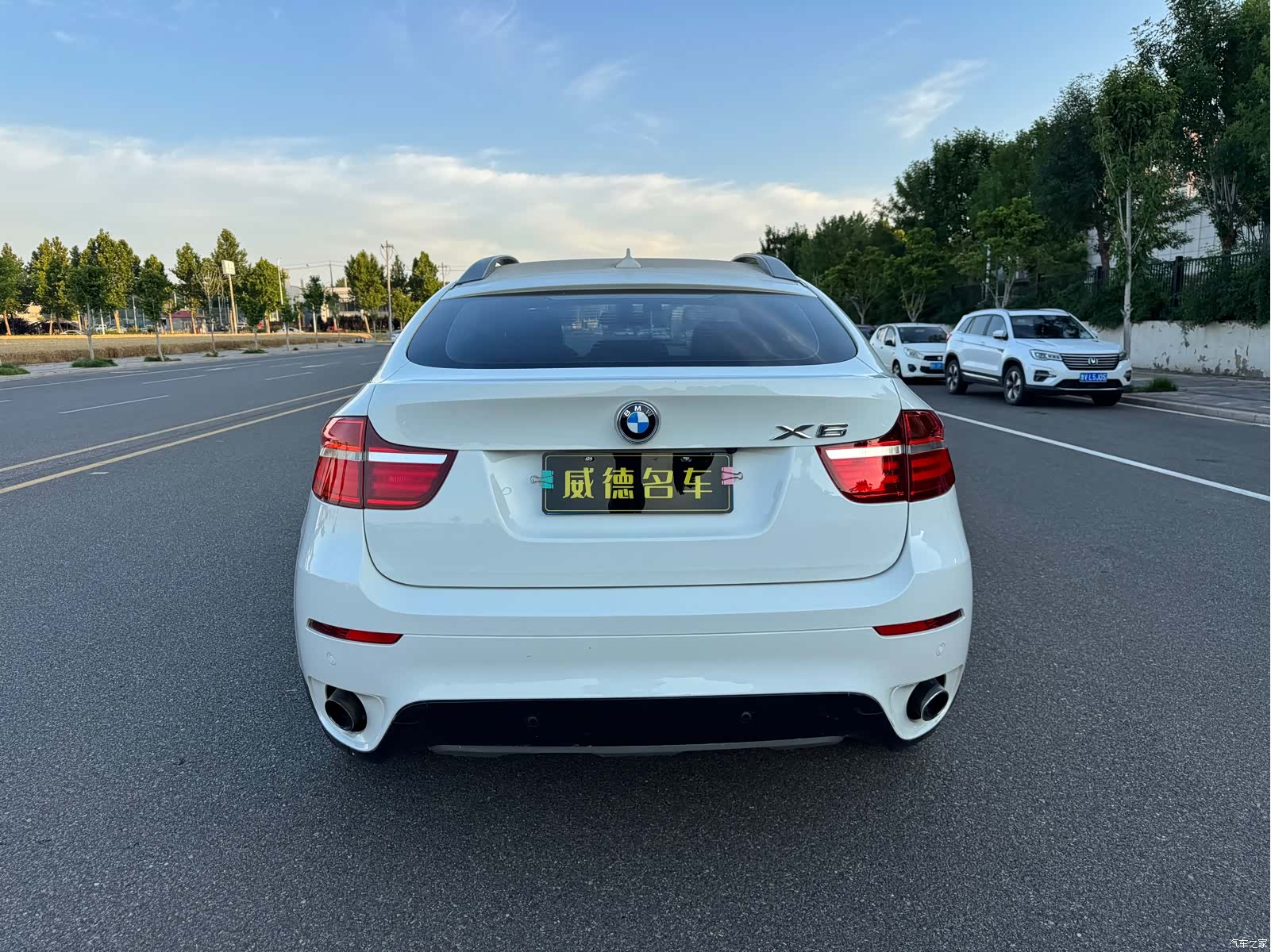 BMW X6, 2013 все фото