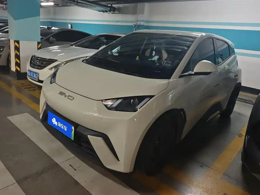 BYD Seagull