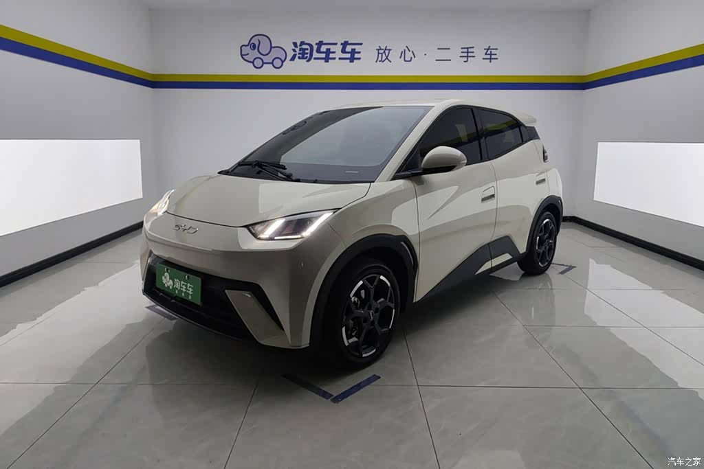 BYD Seagull, 2025 1
