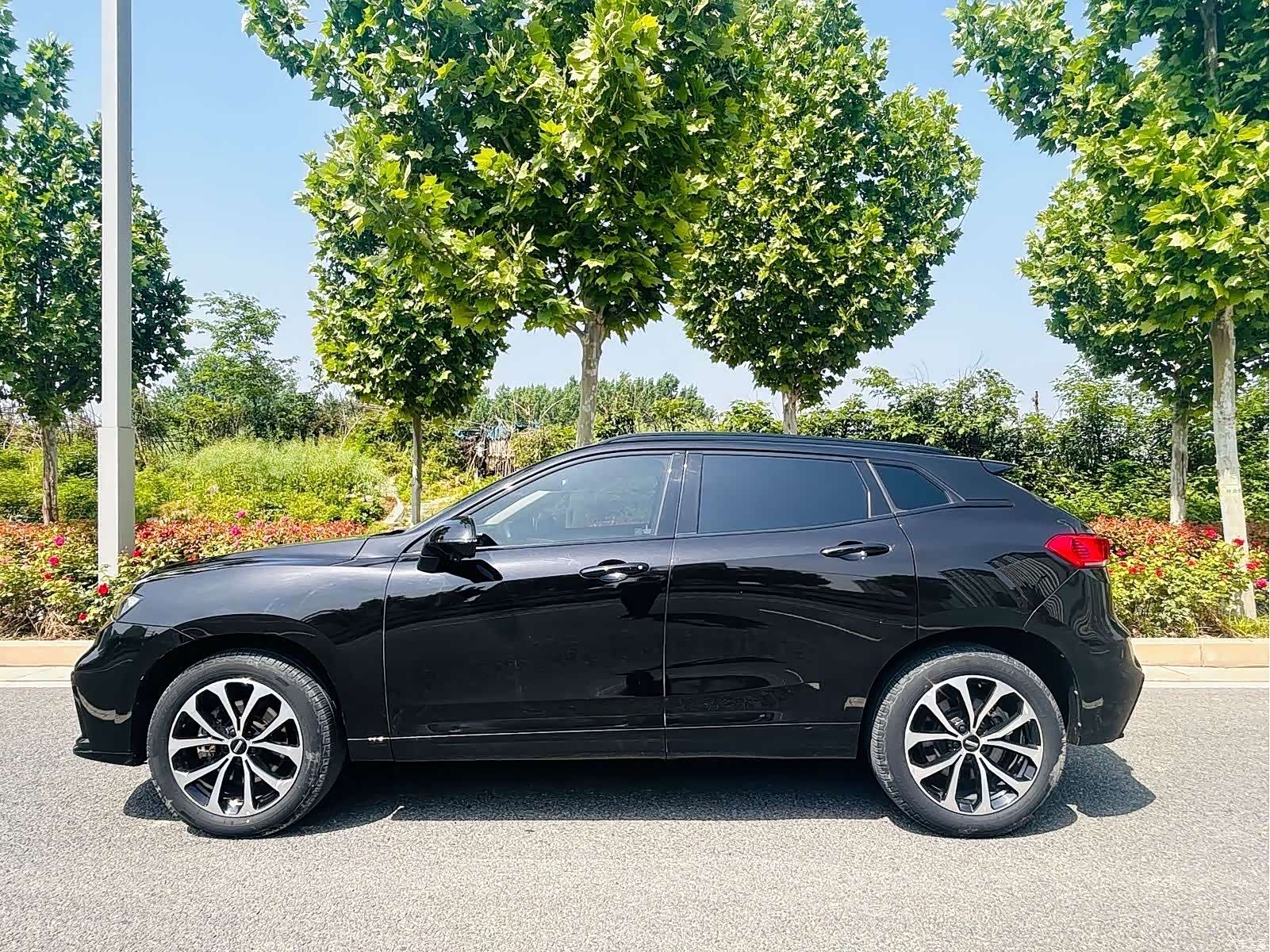 WEY VV7, 2019 7