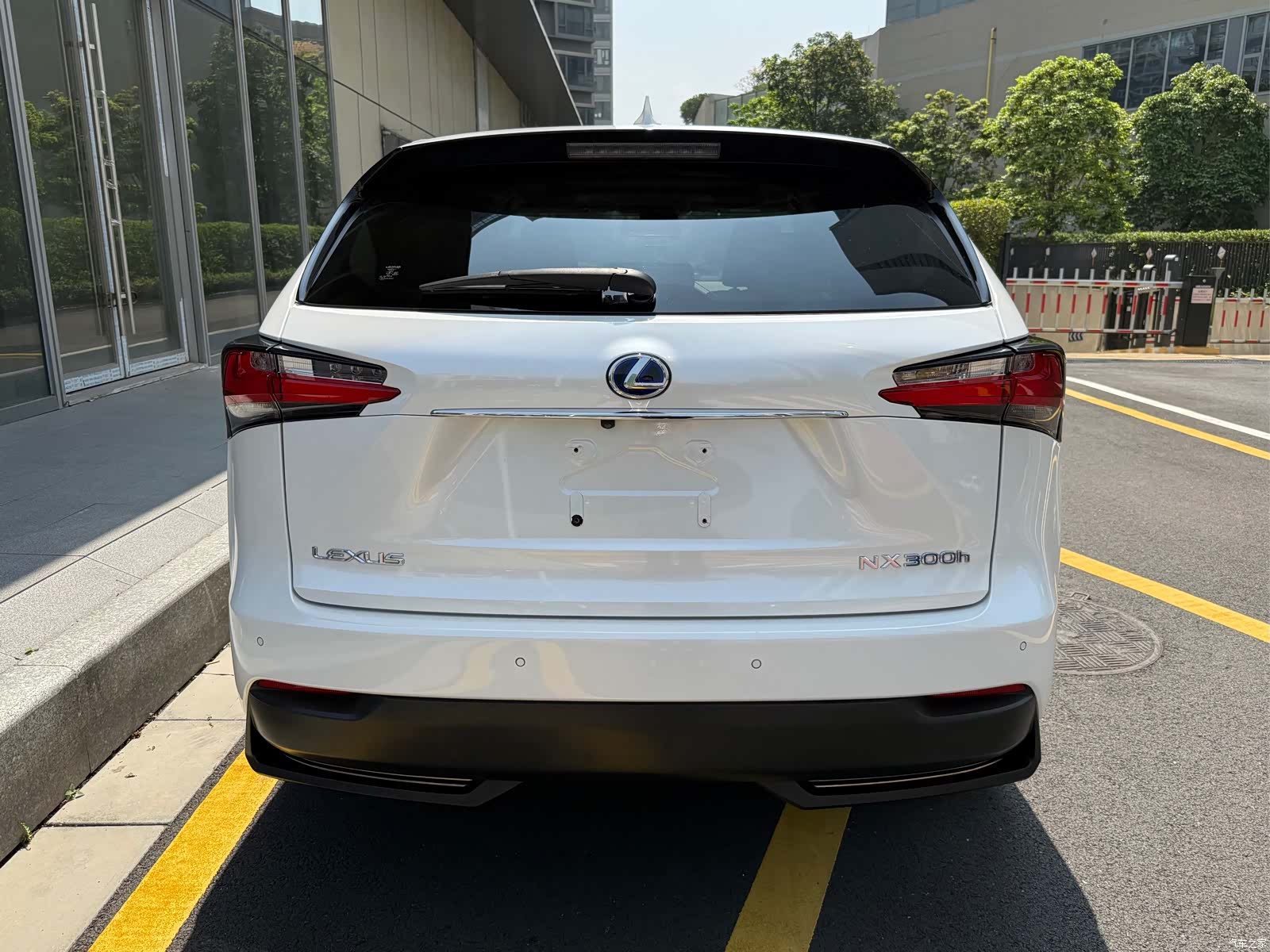 Lexus NX, 2017 все фото