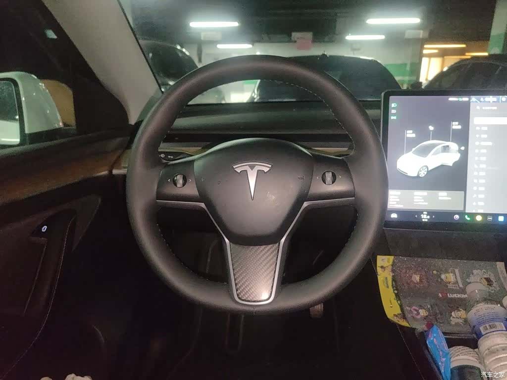 Tesla Model Y, 2021 11