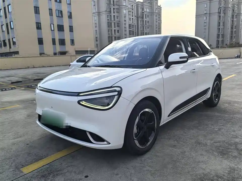 Dongfeng Nammi Nano 01