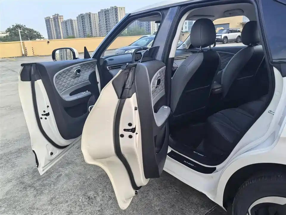 Dongfeng Nammi Nano 01