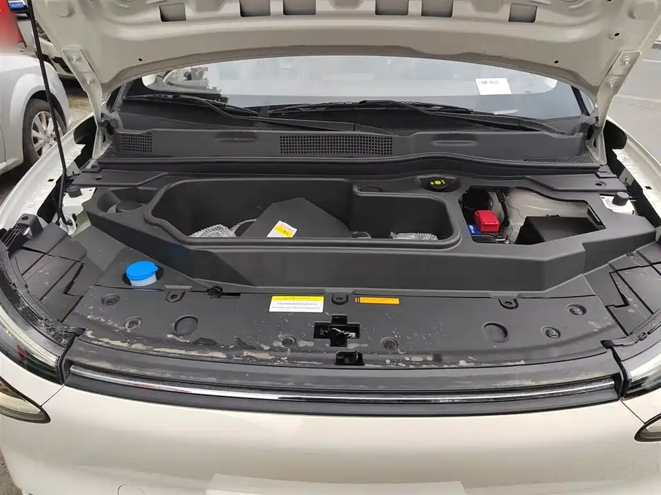 Dongfeng Nammi Nano 01