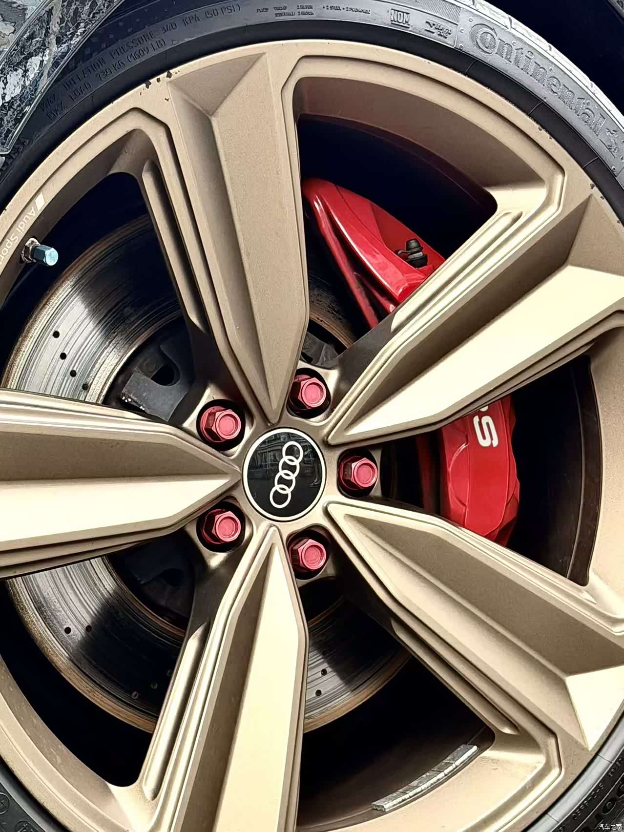 Audi RS4, 2023 6