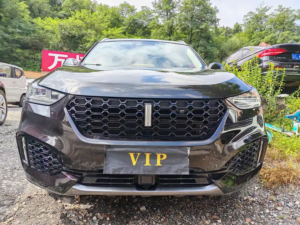Weipai VV6