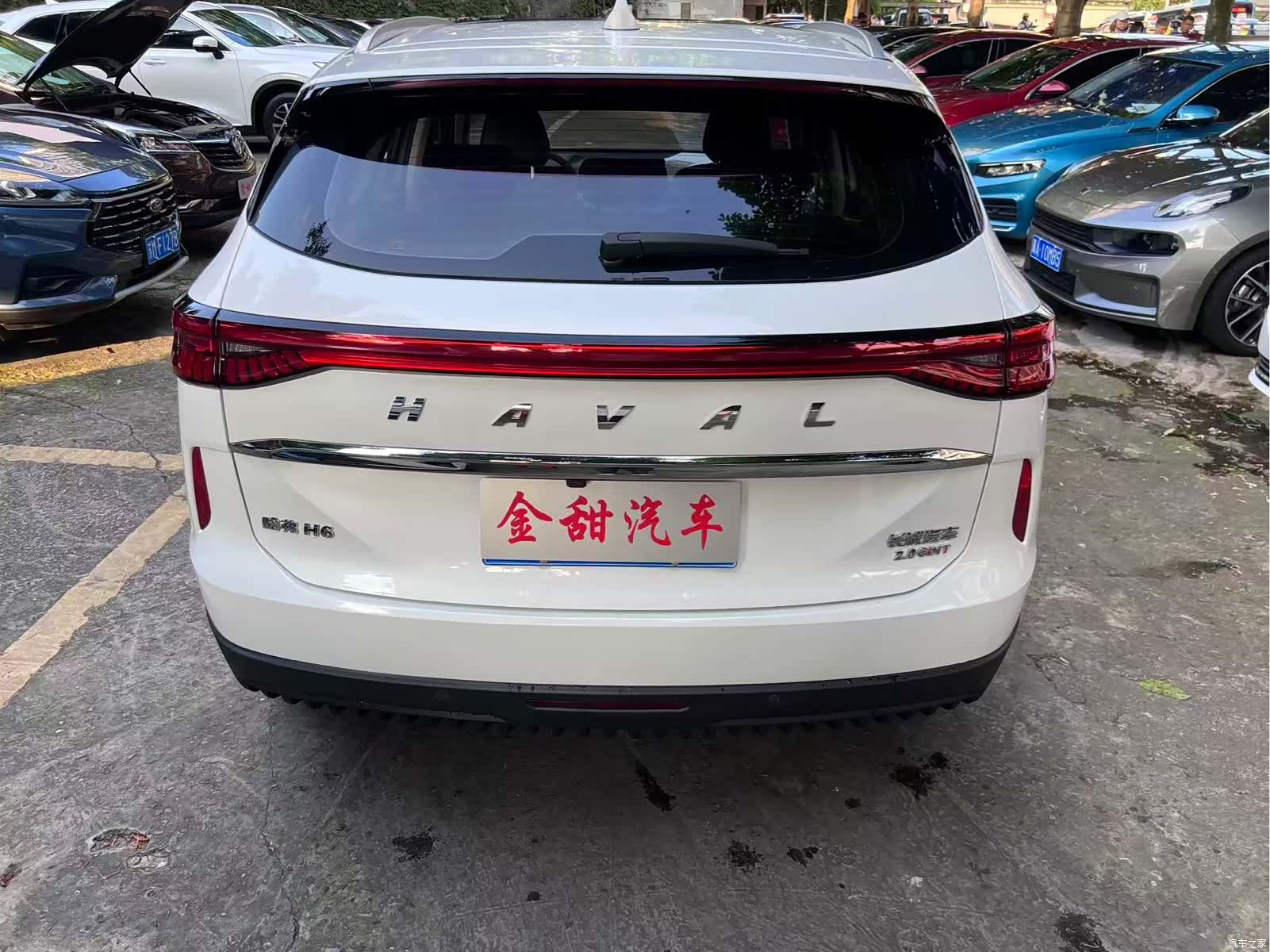 Haval H6, 2022 все фото