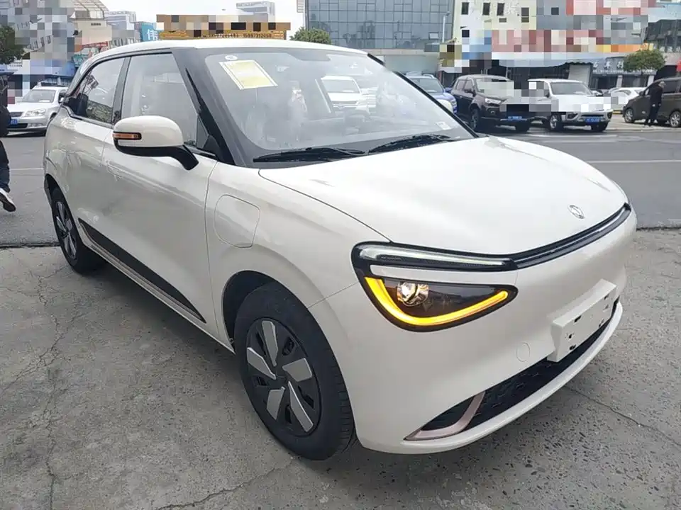 Dongfeng Nammi Nano 01