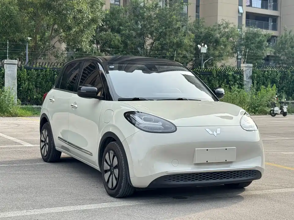 Wuling Wuling Bingguo Wuling Wuling Bingguo