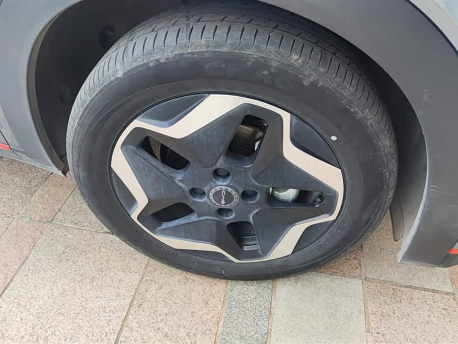 BYD dolphin