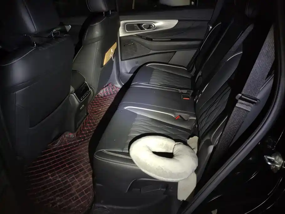 Trumpchi Trumpchi GS8