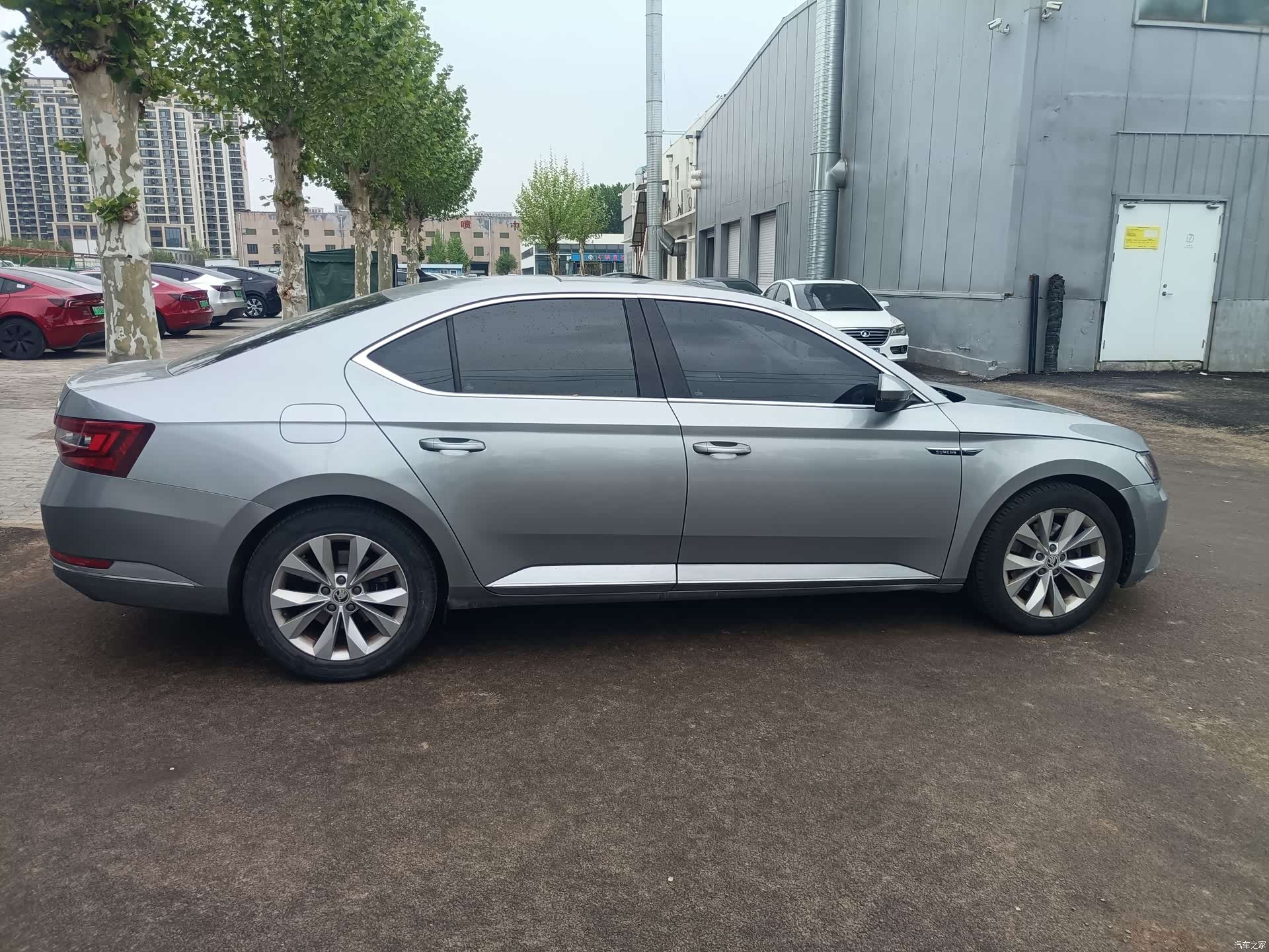 Skoda Superb, 2016 все фото