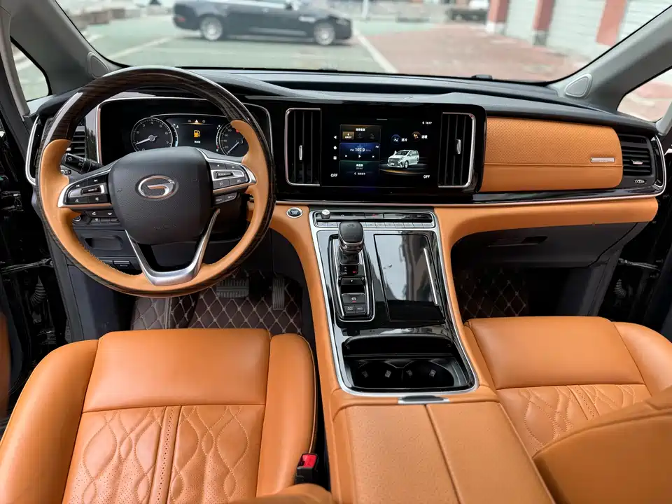 Trumpchi Trumpchi M8