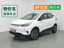 ԪPro 2021�� 401KM �����