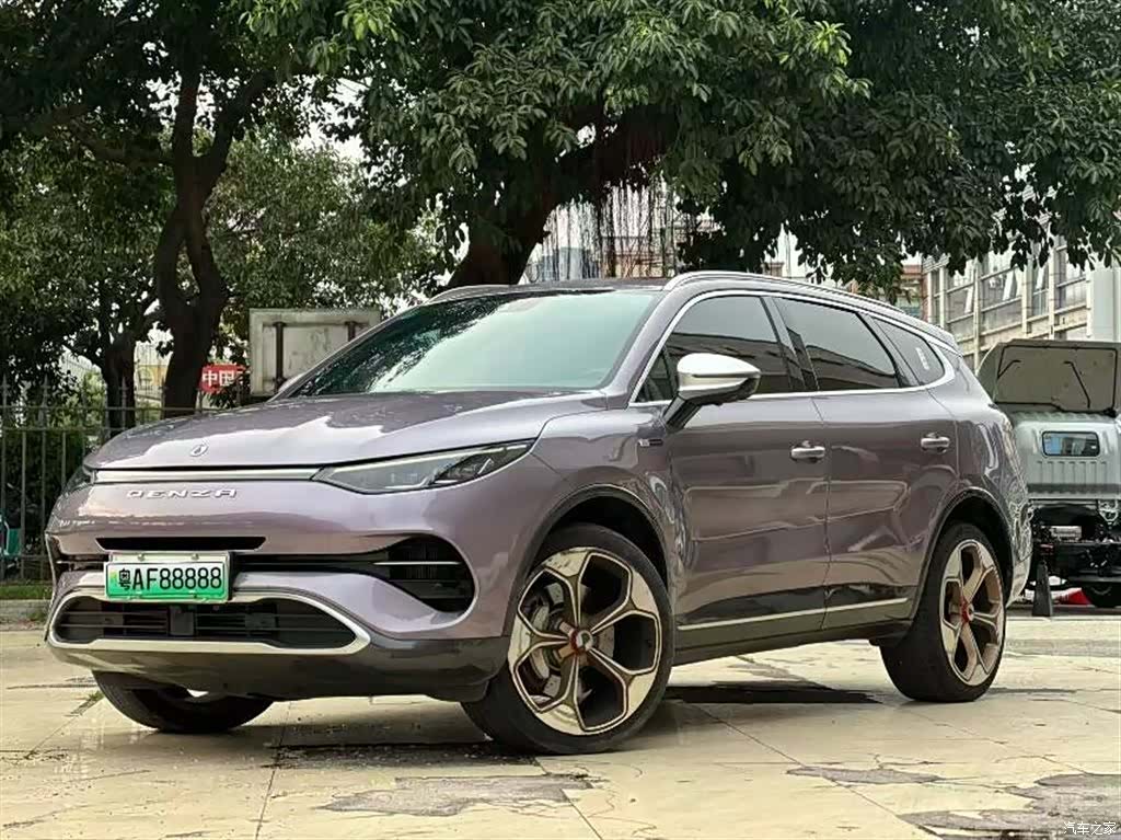 Denza X, 2021 1