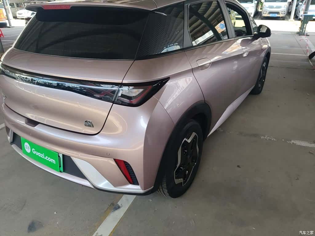 BYD Dolphin, 2022 8