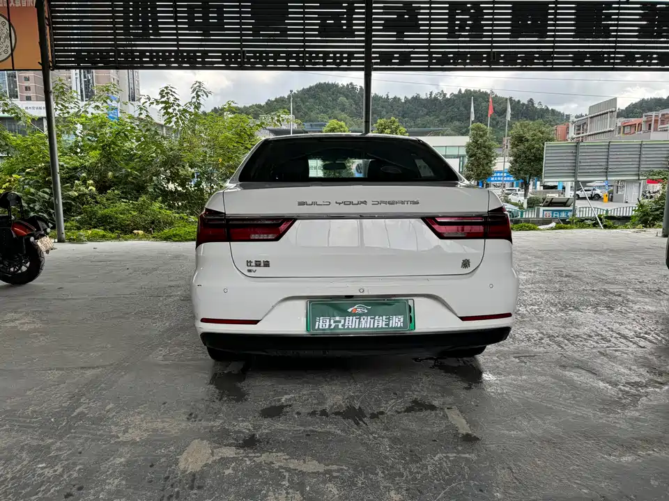 BYD Qinxin Energy