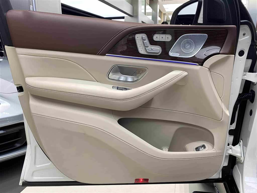 Maybach GLS, 2021 16