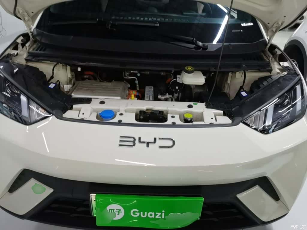 BYD Seagull, 2024 20