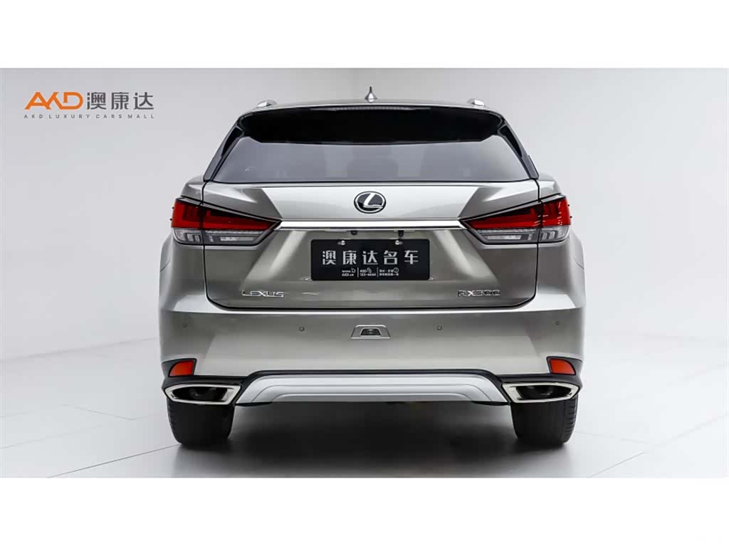Lexus RX, 2021 4