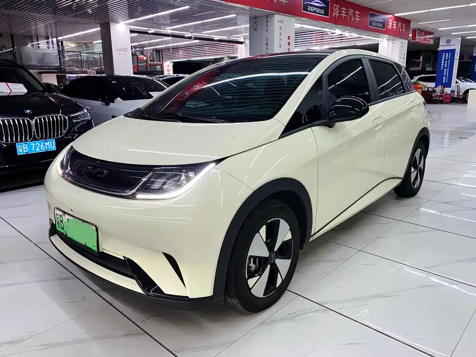 BYD dolphin