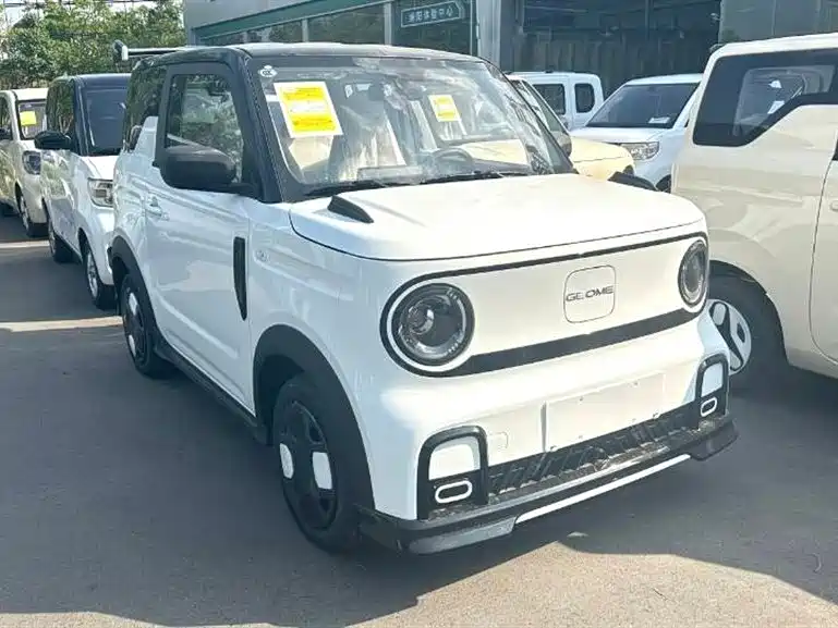 Geely Galaxy panda