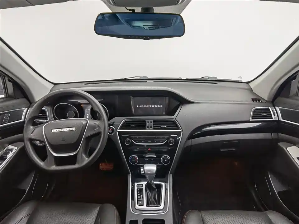 Leopaard Cheetah CS10