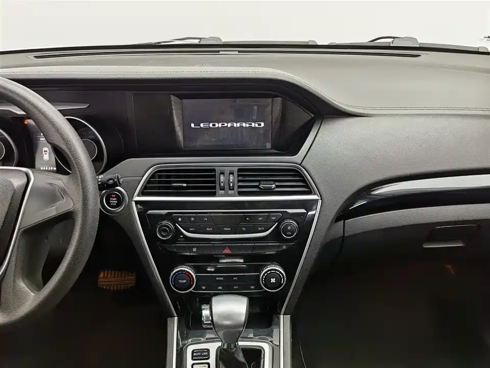 Leopaard Cheetah CS10