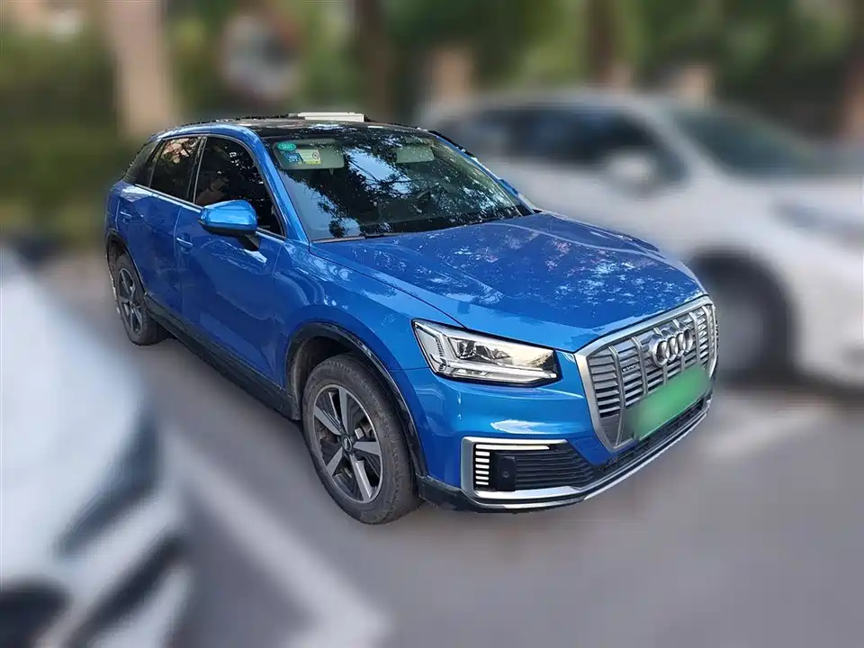 Audi Q2L
