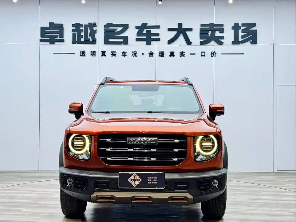 Haval Big dog