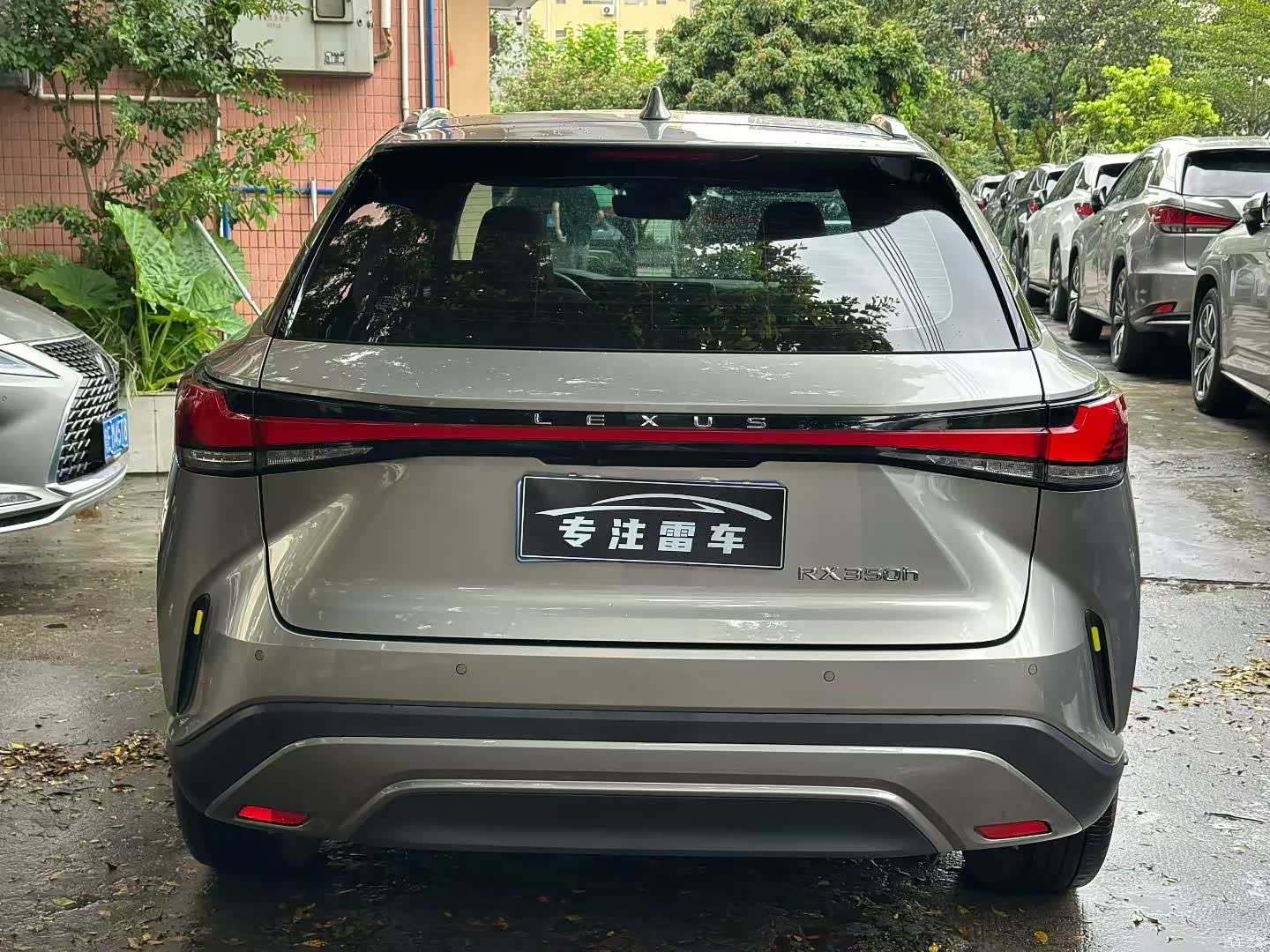 Lexus RX, 2023 7
