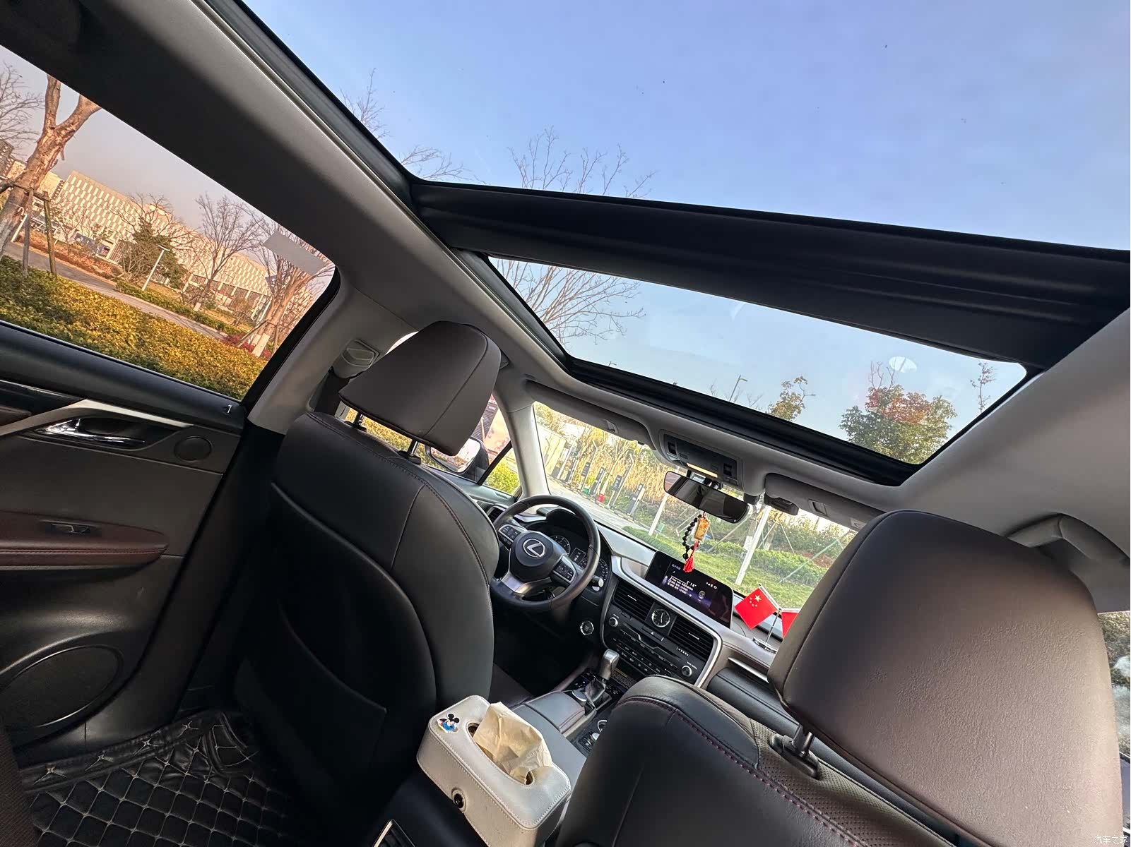 Lexus RX, 2018 13