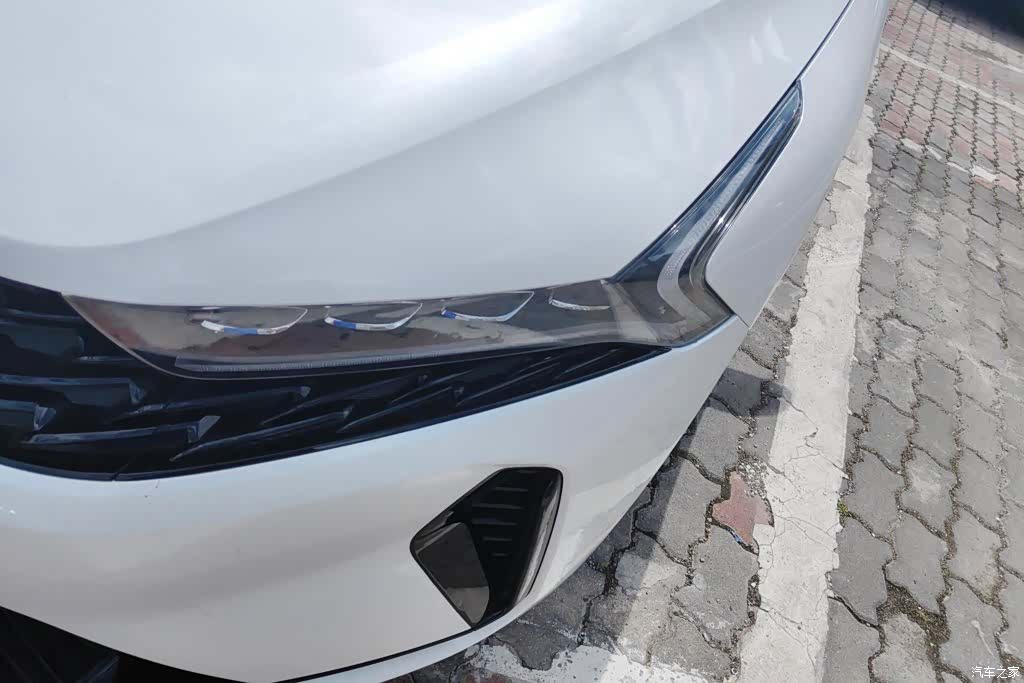 Kia K5, 2025 все фото