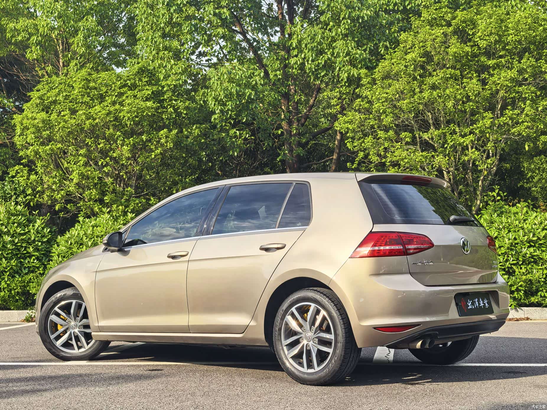 Volkswagen Golf, 2017 все фото