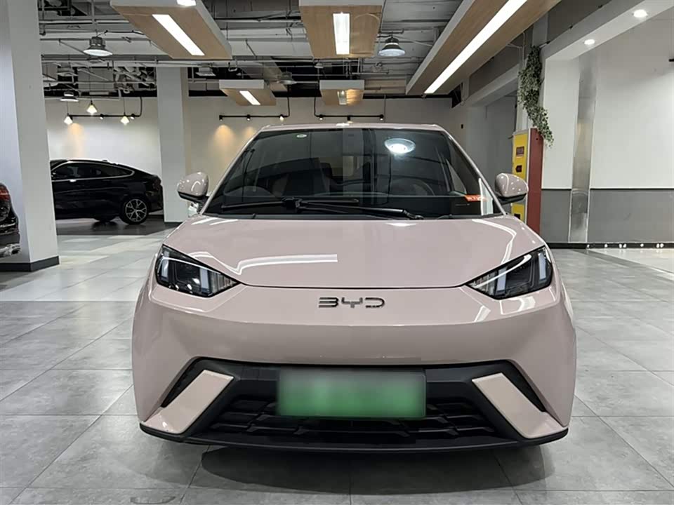 BYD Seagull BYD Seagull