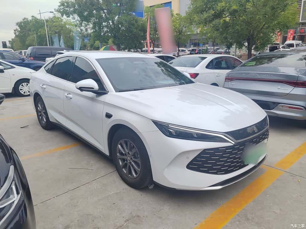 BYD Qin, 2025 все фото