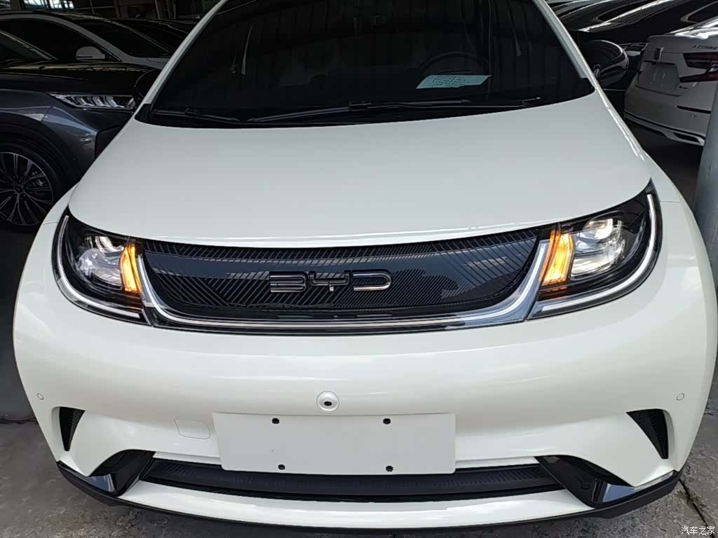 BYD Dolphin, 2023 3