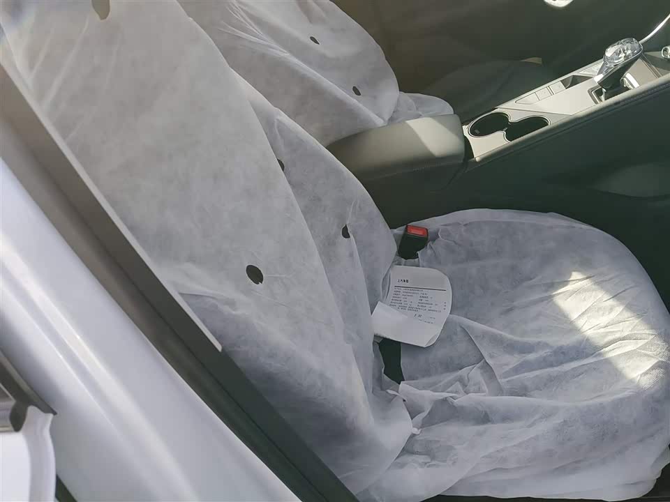 Roewe RX5 New energy