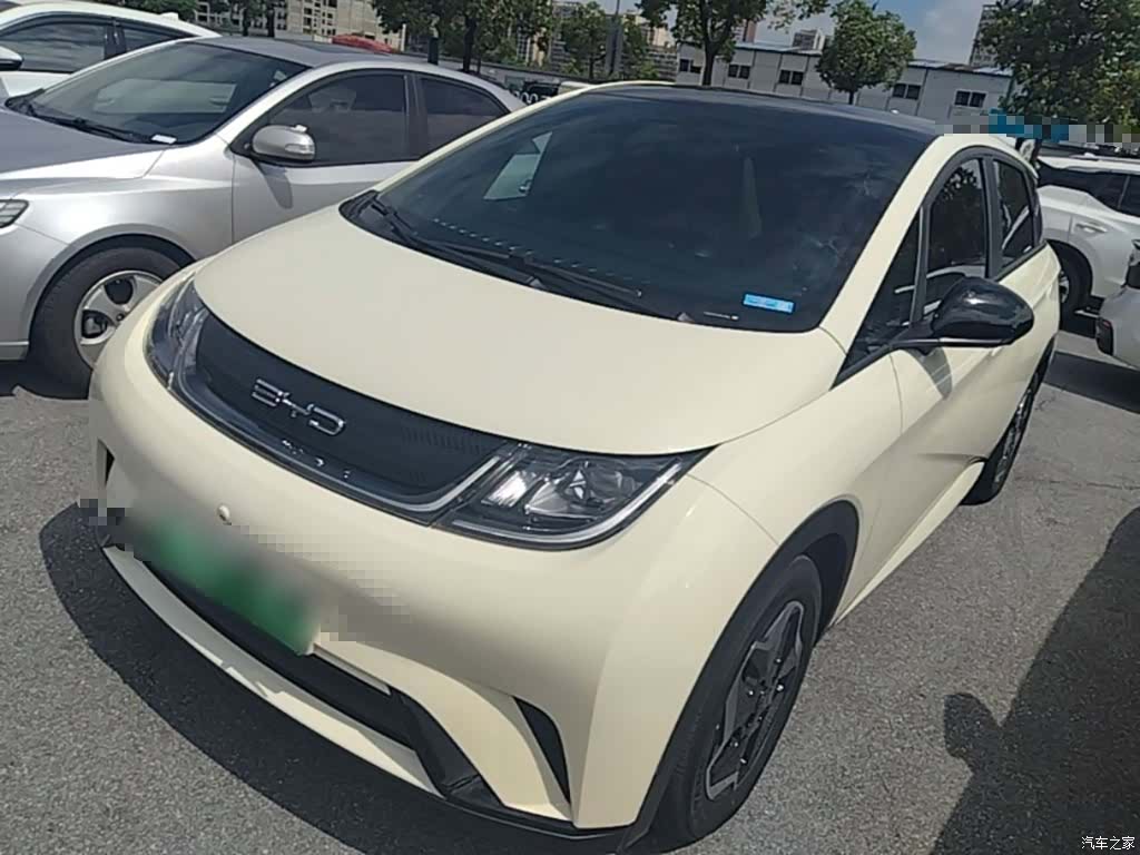 BYD Dolphin, 2022 1