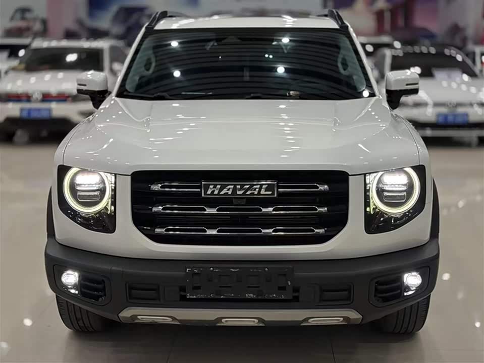 Haval Big dog