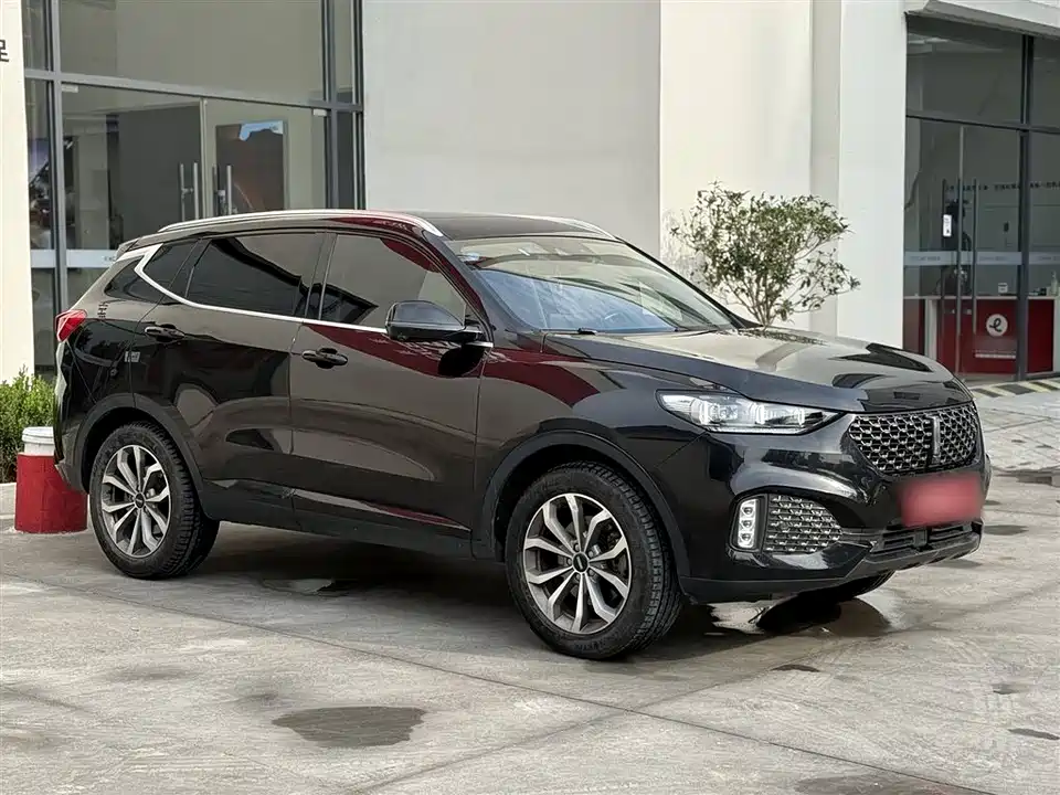 Weipai VV6